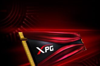 GAMMIX S10 10