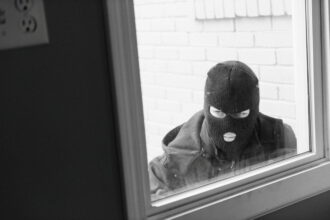 cyberprzest?pca, cyberbezpiecze?stwo