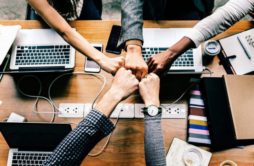 startup, biznes