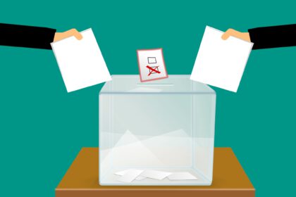 wybory, voting