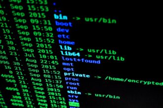 cyberbezpiecze?stwo, technologia, naruszenia danych