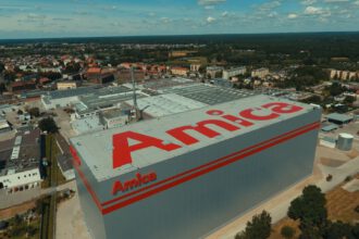 Amica