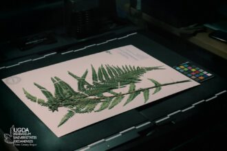 Herbarium, HPE