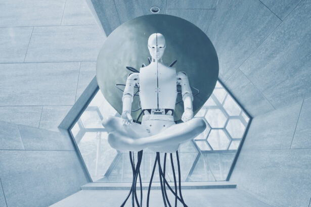 Robot