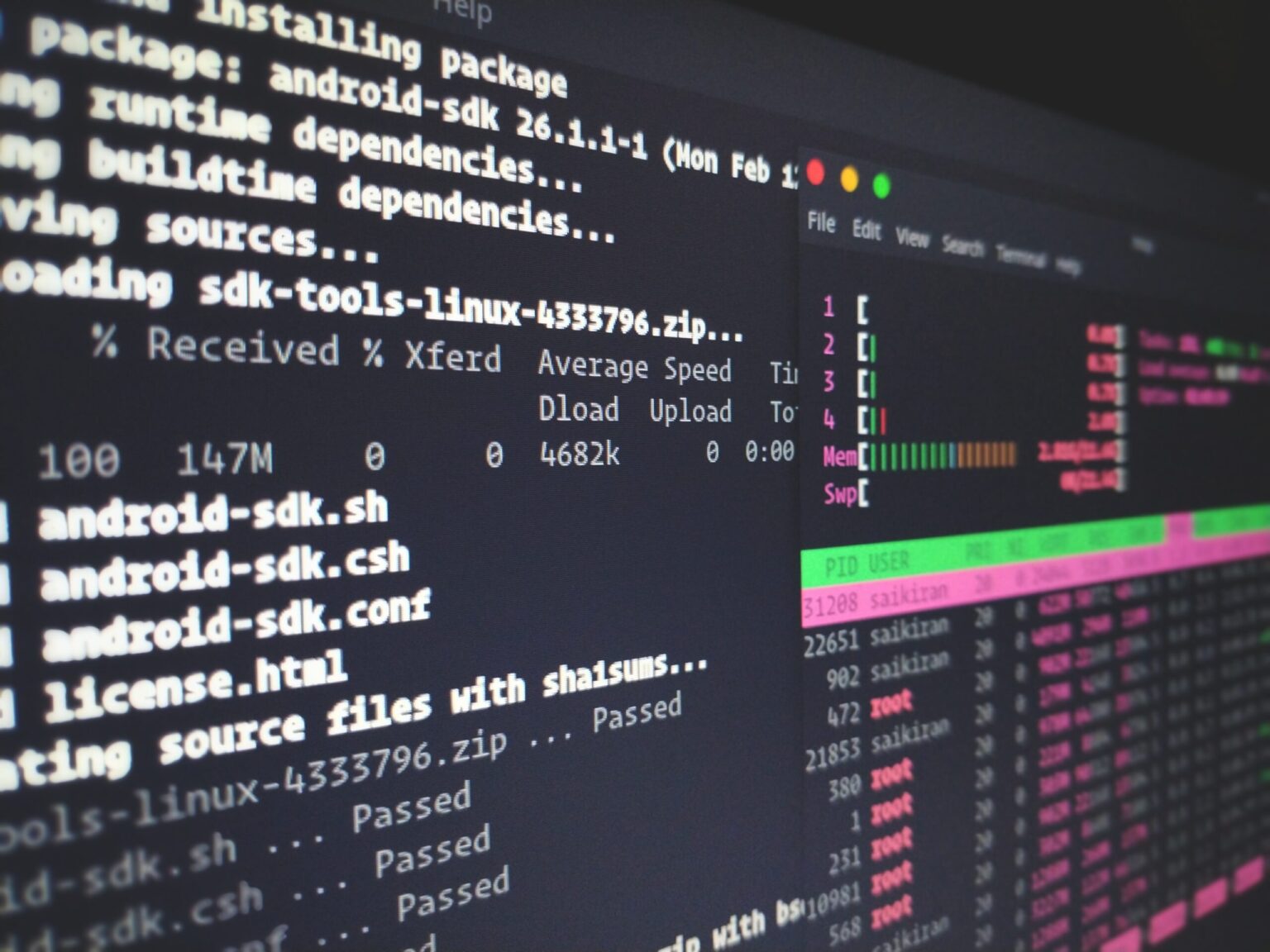 Linuks, Linux