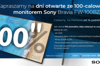 Sony, Bravia
