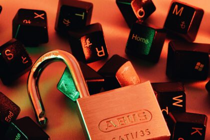 cyberbezpiecze?stwo, luki