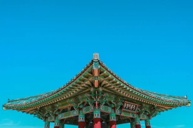 Korea południowa, chipy